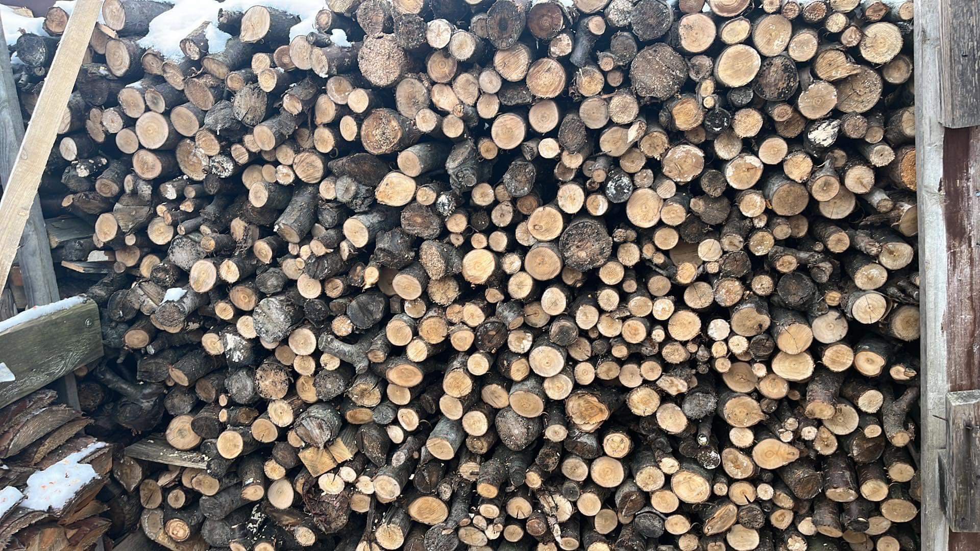 Drewno opałowe, pocięte lub w wałkach