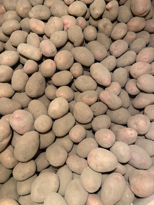 Домашня картопля!!!