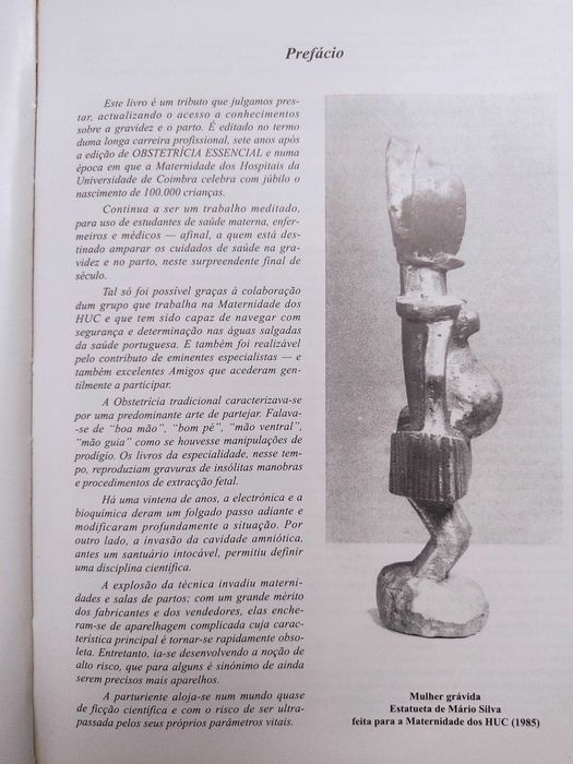 Curso de OBSTETRÍCIA 

Mário Luiz Mendes