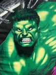 Prancha de surf beach do hulk