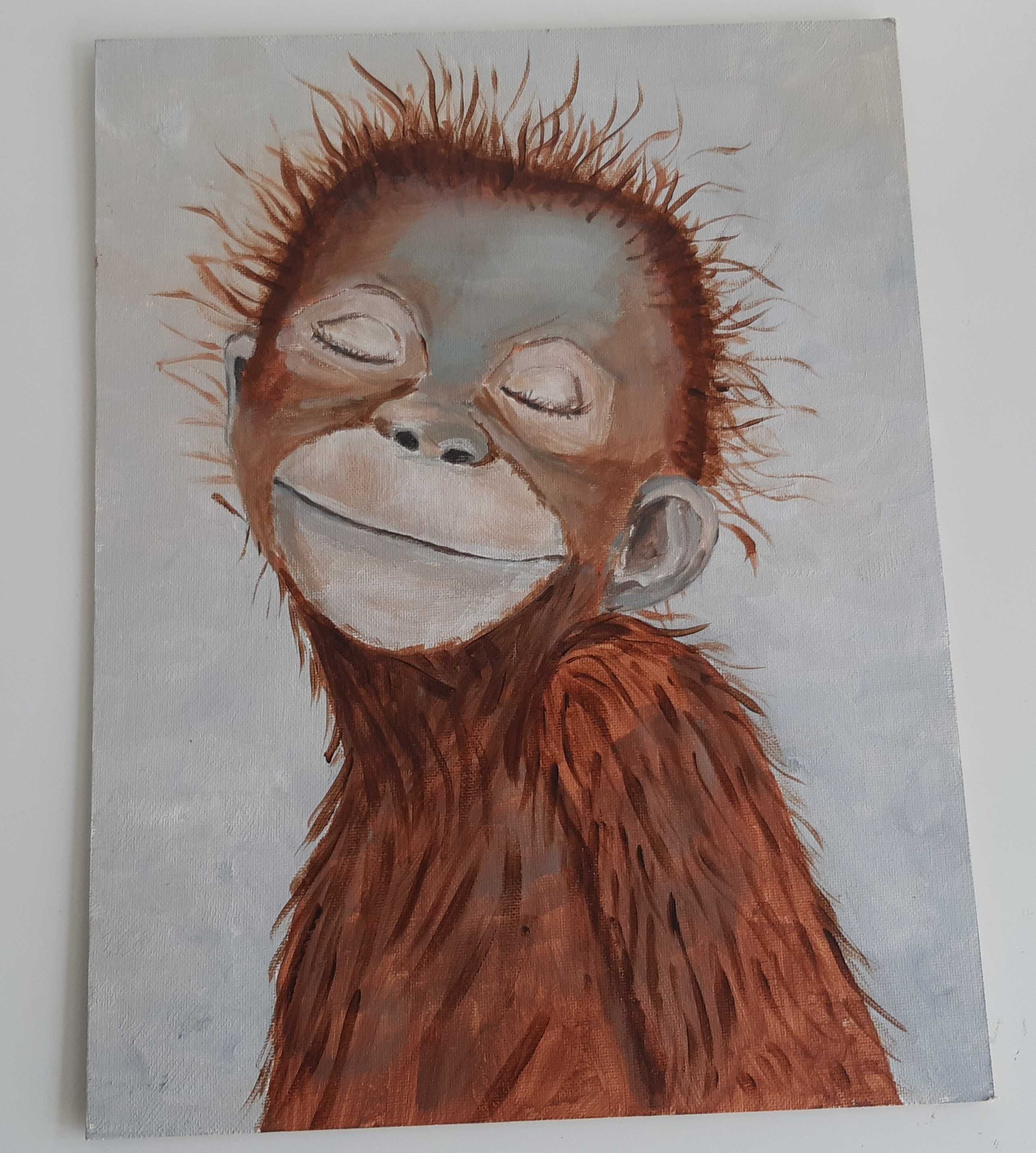 Quadro Macaquinho Pintura Acrílico Original 27x35cm Olga Baptista