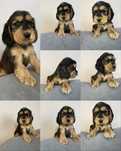 Chlopak cocker spaniel angielski czarny podpalany