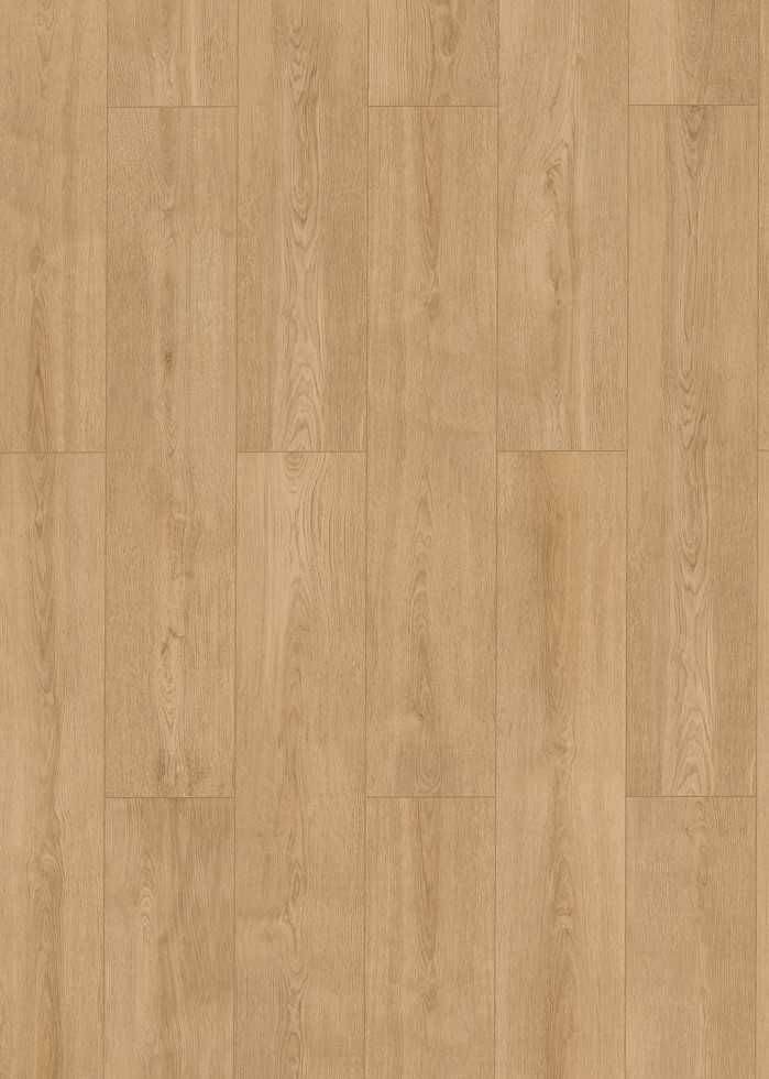 Panele podłogowe winylowe Classen Neo Pro XL Kauka Oak 55510 Tanio
