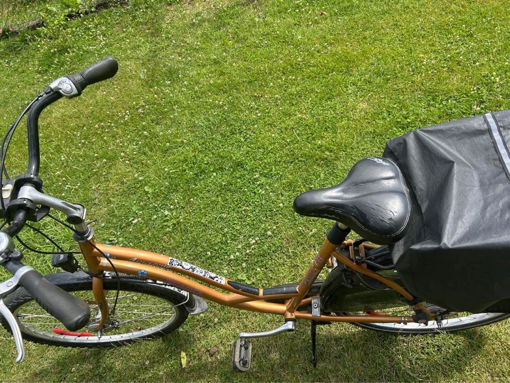 Rower Sparta z koszem