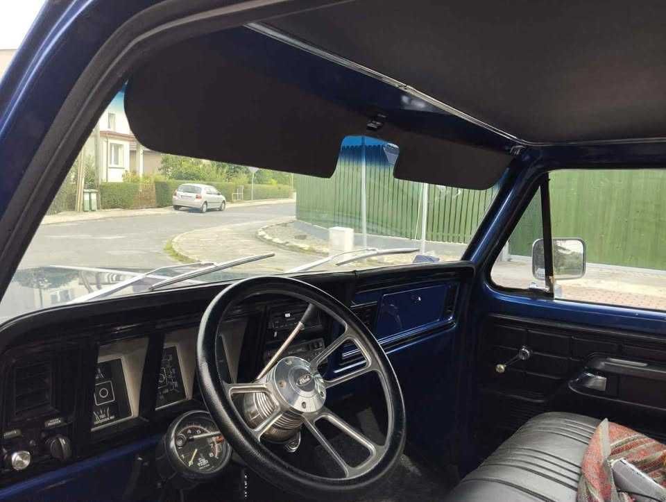 Ford F100 Pickup