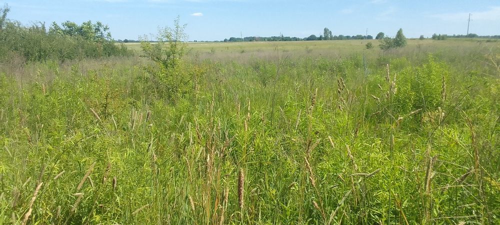 Продам земельну ділянку с.Кочерів