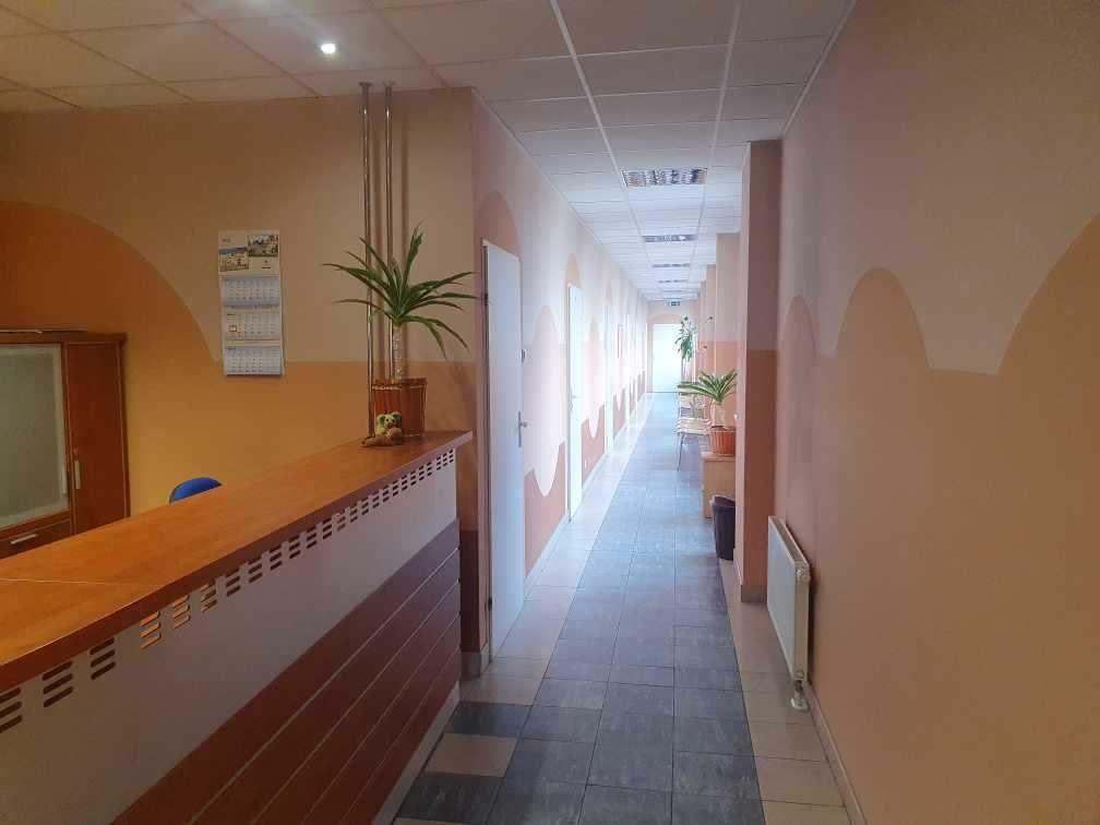 Wynajem powierzchni użytkowej