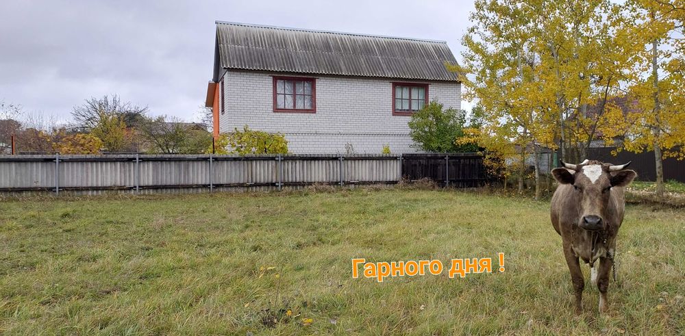 Продам будинок з земельною ділянкою