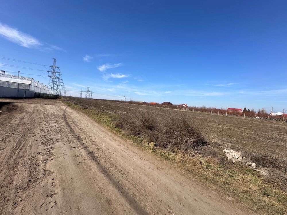 Продается участок в селе Усатово