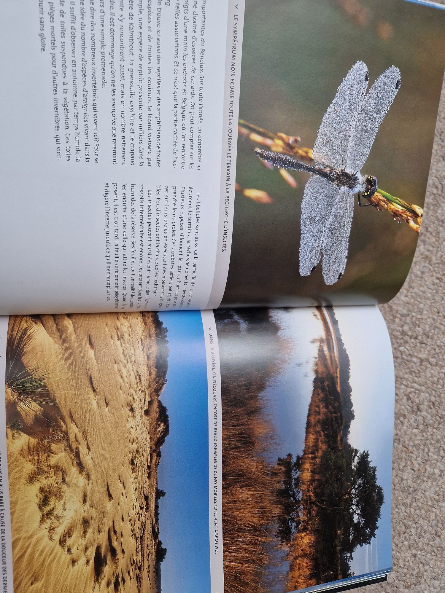 Album fotograficzny Les plus beaux coins de naturę en Belgique.