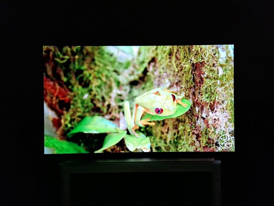 Продам топовый телевизор LG OLED55C1