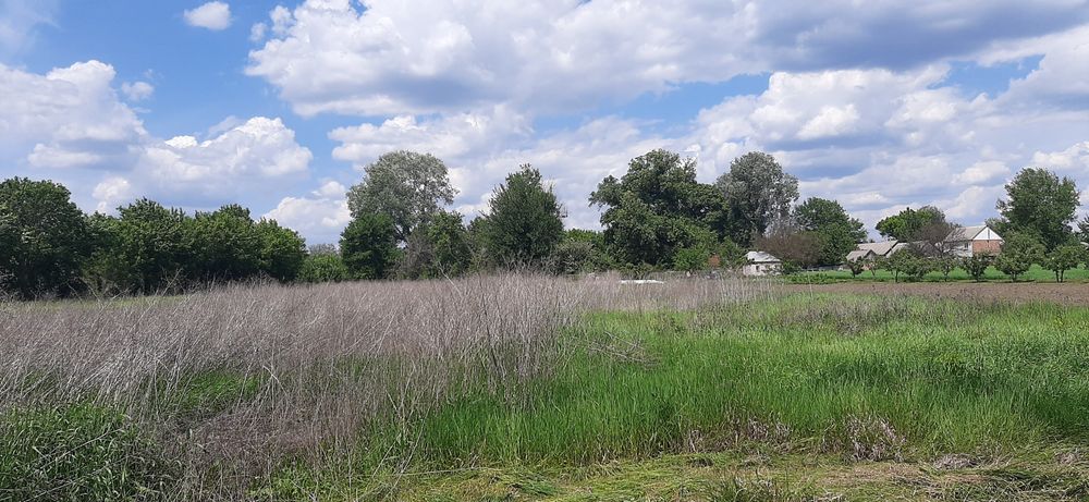 Продам господарство Котельва