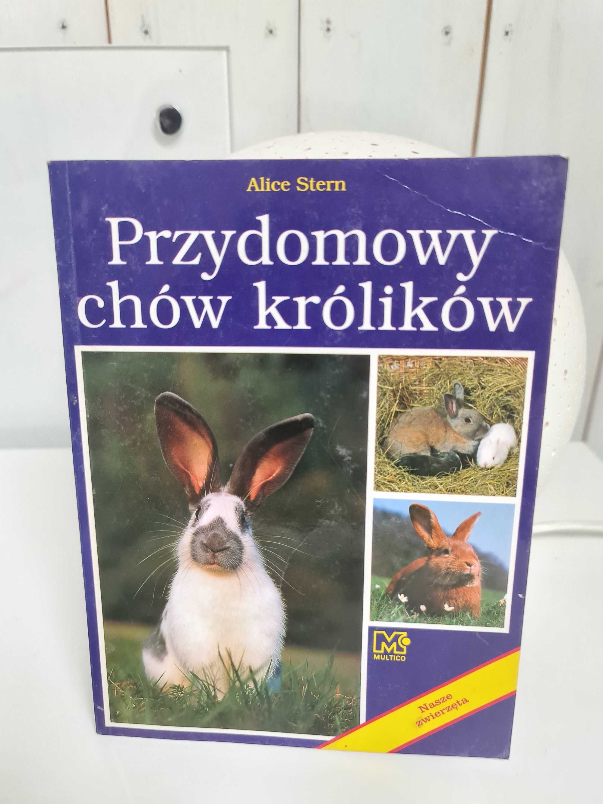 Przydomowy chów królików Alice Stern