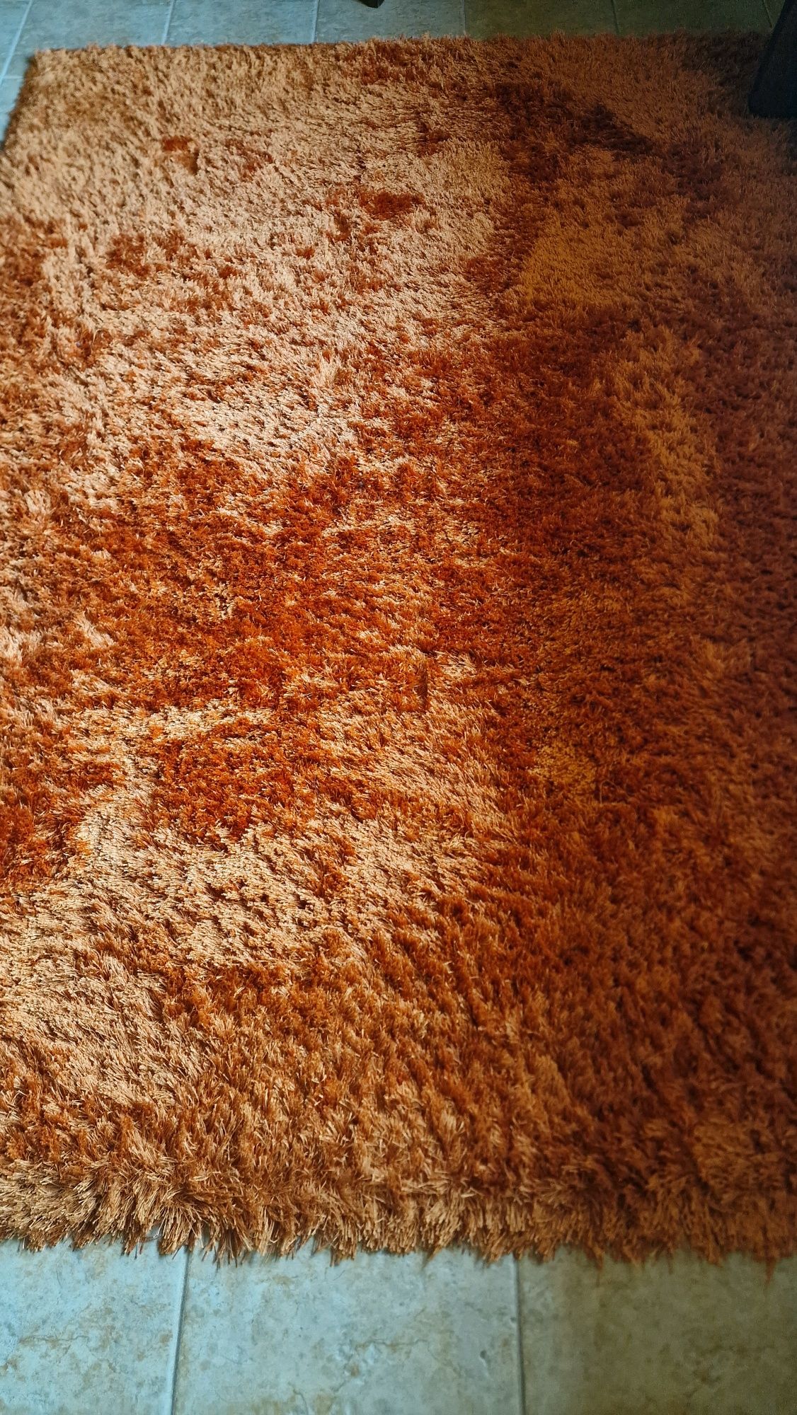 Carpetes de sala