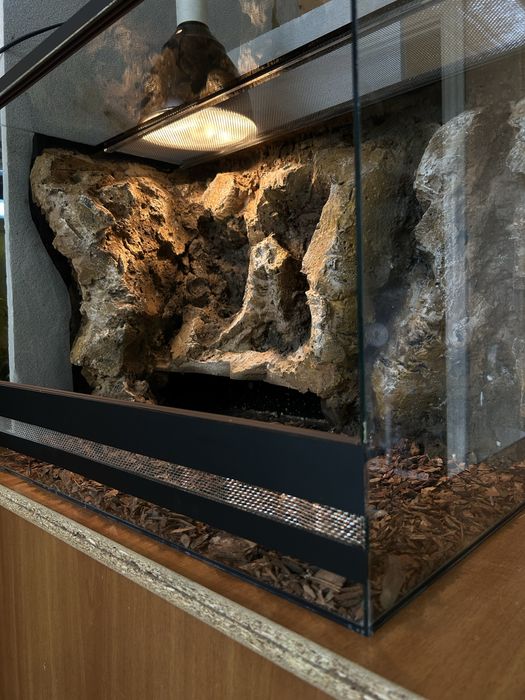 Тераріум для рептилій, членостоногих з декором