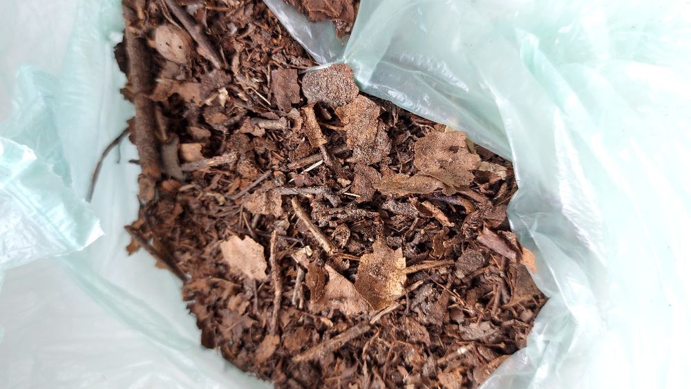 Земля для кімнатного банана