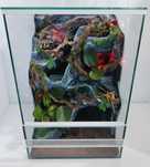 Terrarium dla gekona orzęsionego z wyposażeniem AquaWaves TW66WS