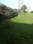 Limpeza de jardins
