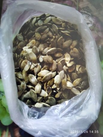 Продам насіння чищене гарбузове