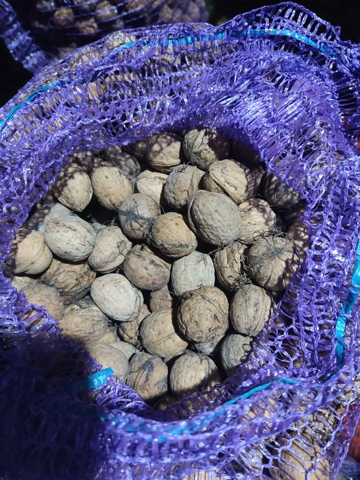 Продам  волоські горіхи