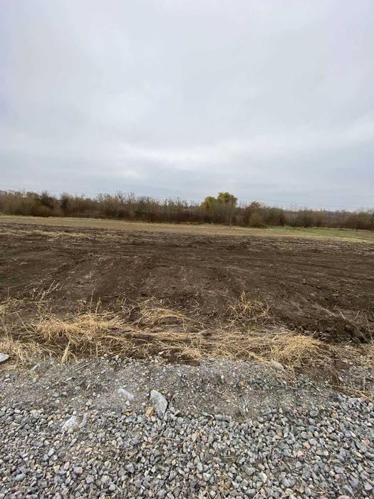 Продаж земельних ділянок під житл. забудову, 5 соток, Тяжилів, Костел