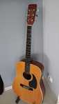 Gitara akustyczna Hohner Arbor