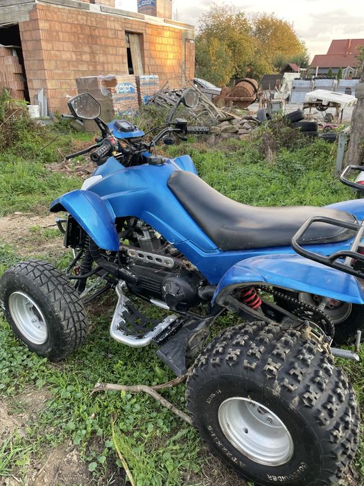 Sprzedam dwa quady dinli masaii 300cc i bashan 250