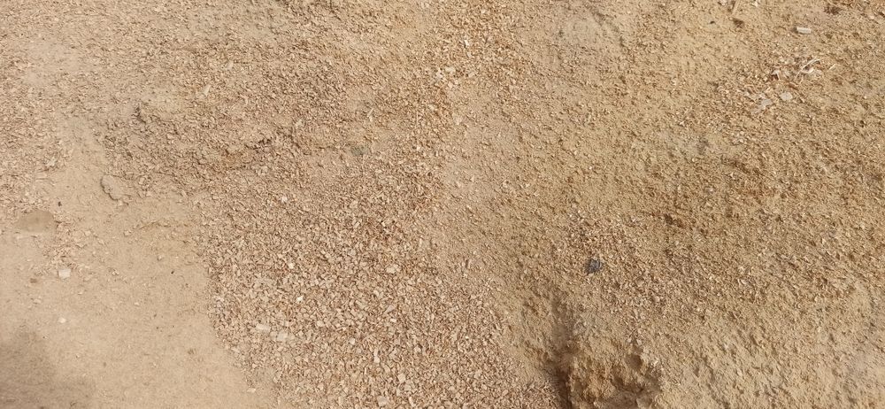 Безкоштовно! Стружка після ЧПУ станка, вільха , дуб