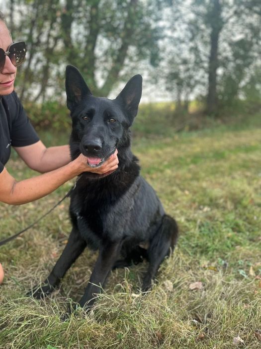 Szachar szuka swojego miejsca na ziemi