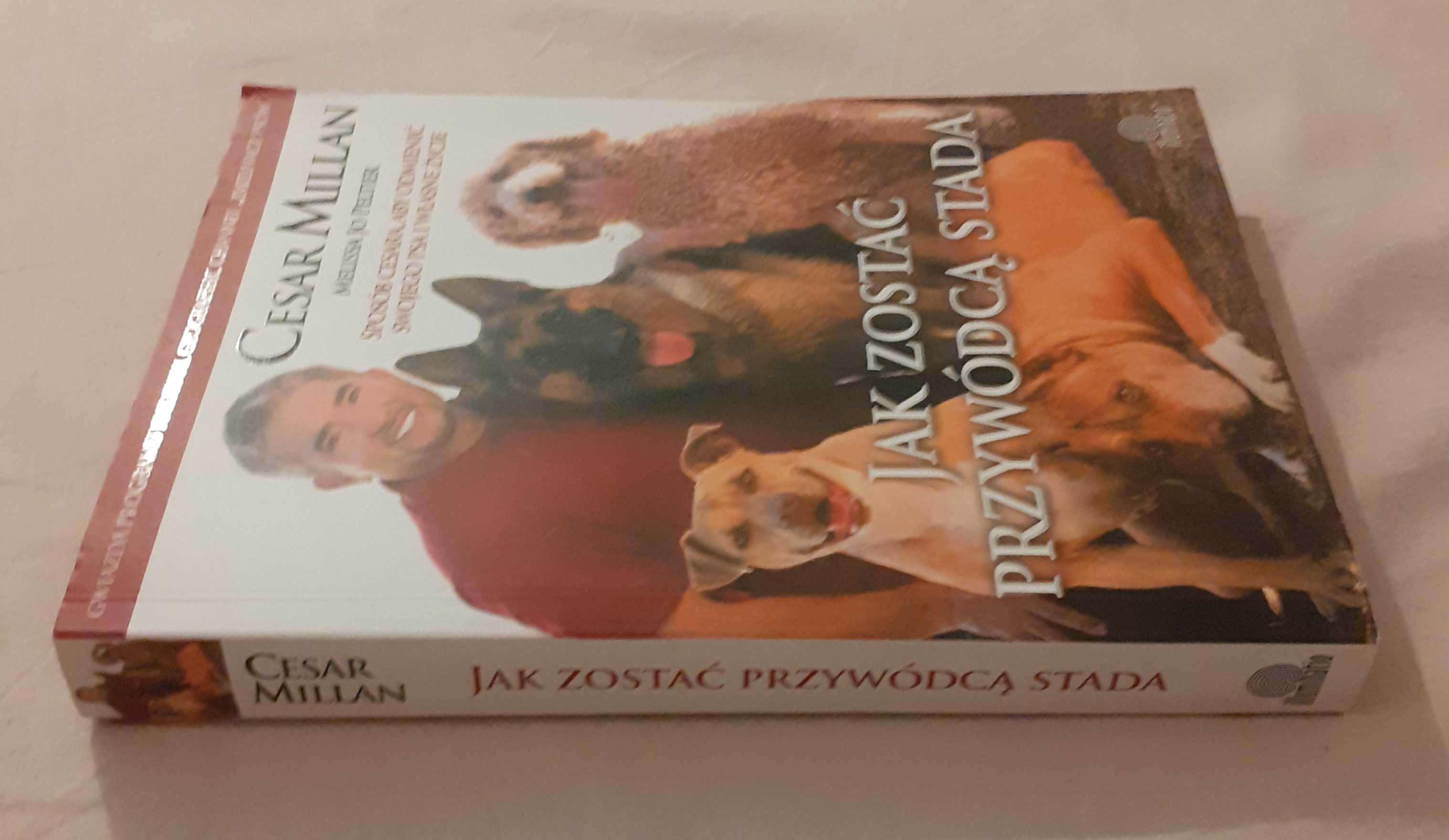 Jak zostać przywódcą stada Cesar Millan