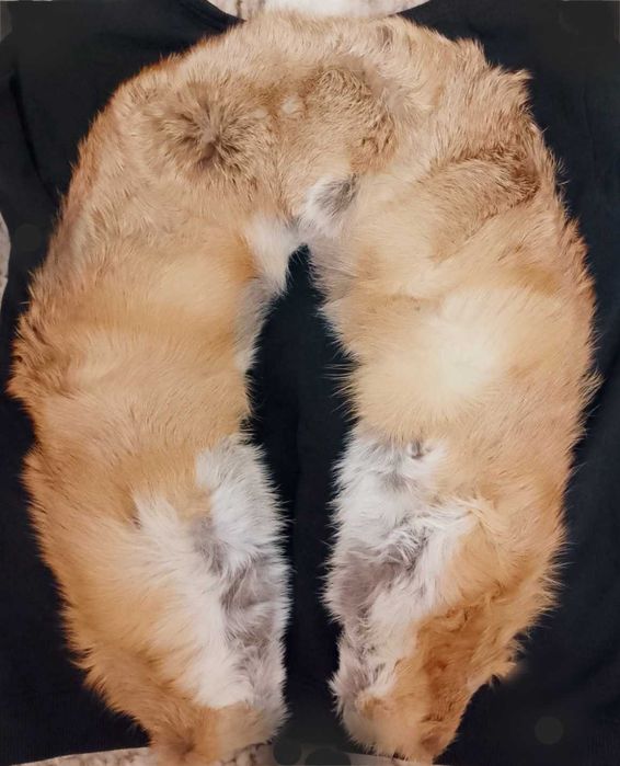 Комір, натуральне хутро