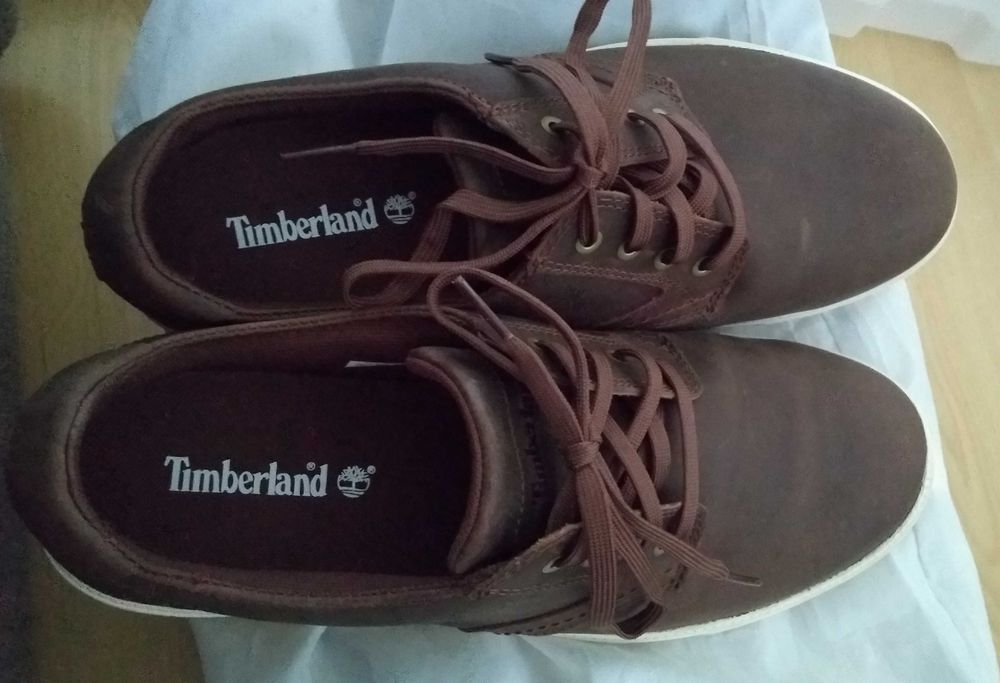 Timberland sapatilhas novo