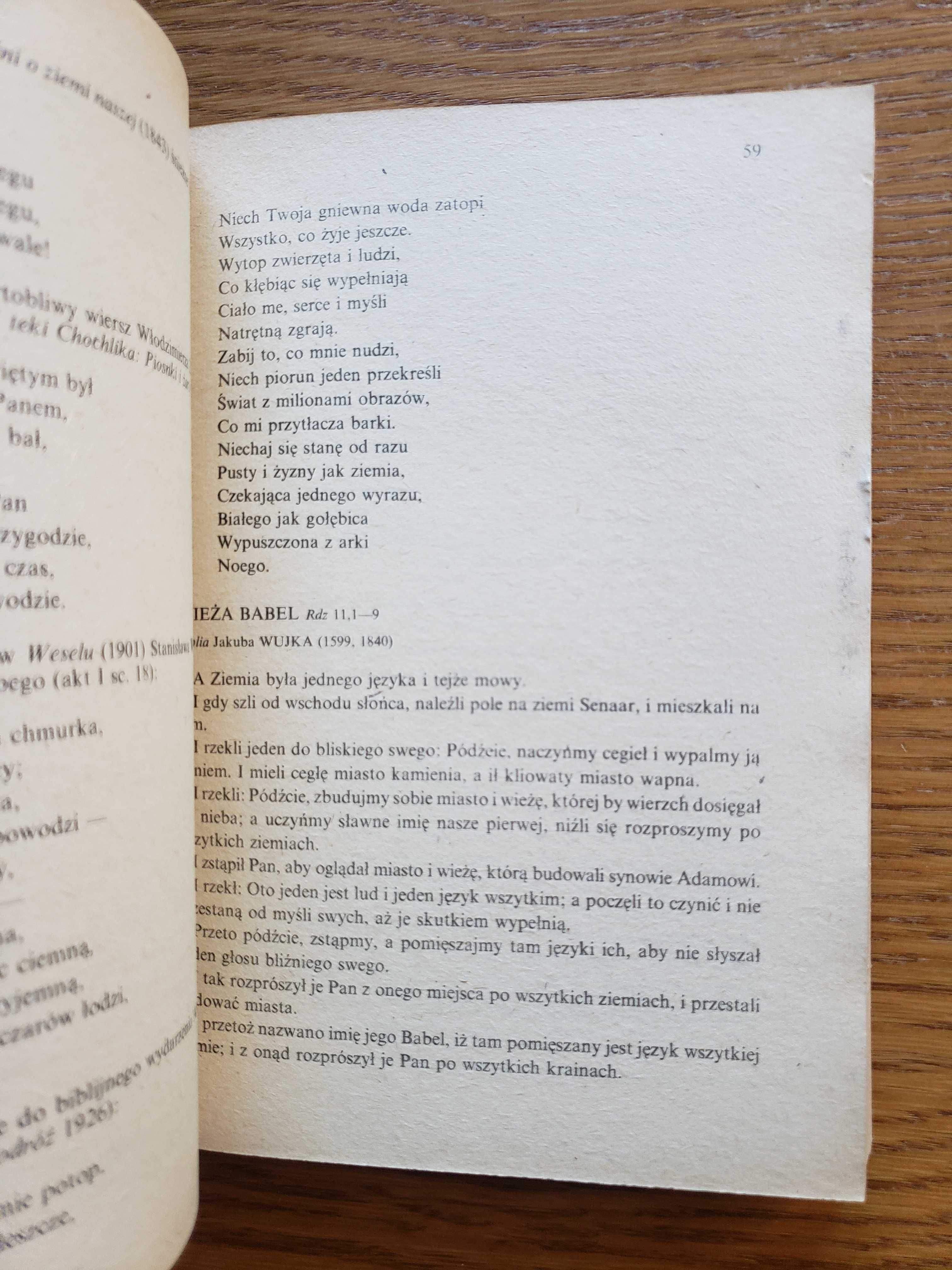 Biblia a literatura polska - Kazimierz Bukowski. Warszawa 1984