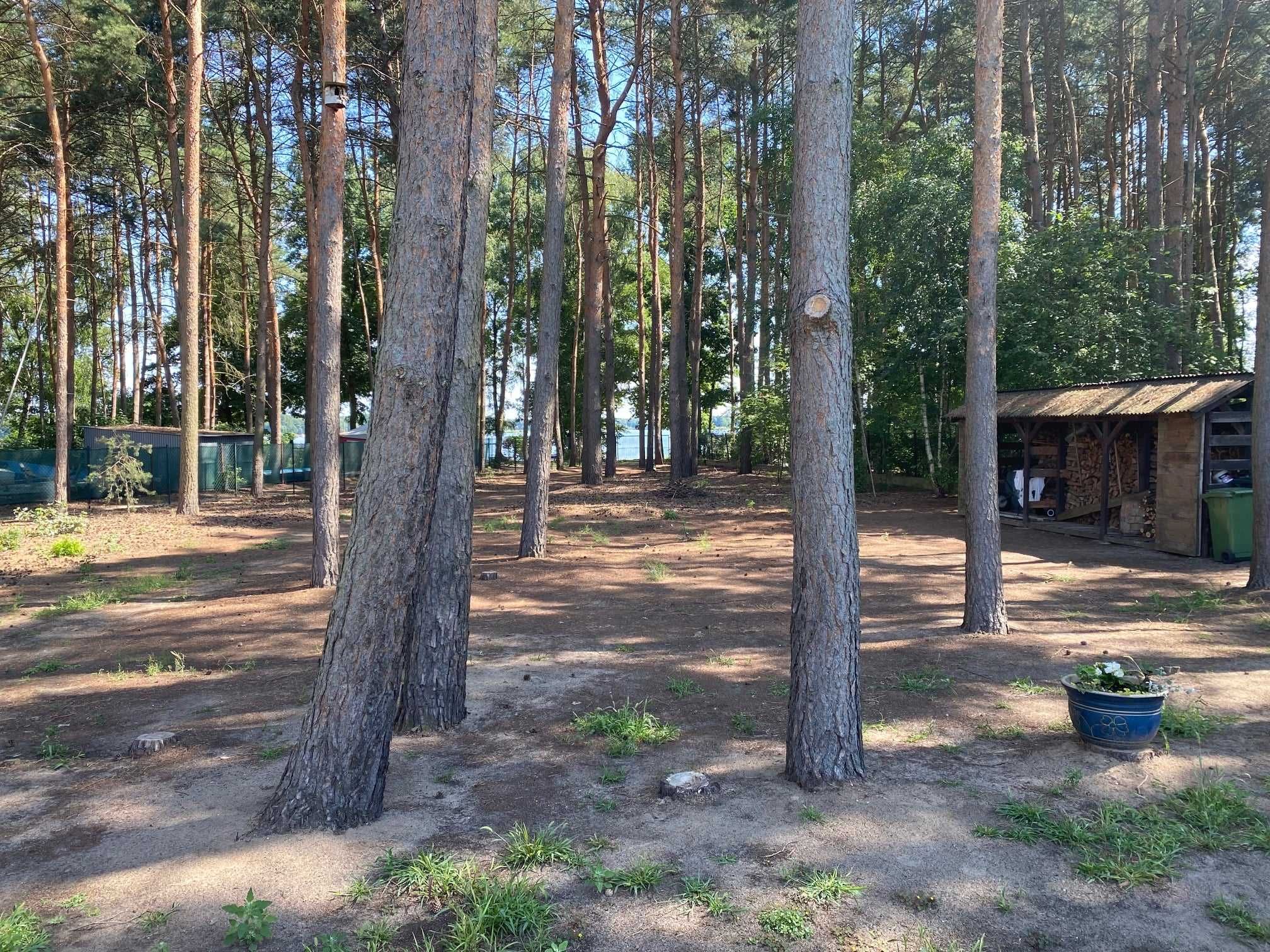 Pokoje nad jeziorem Wieleńskim- cisza, woda i relaks!