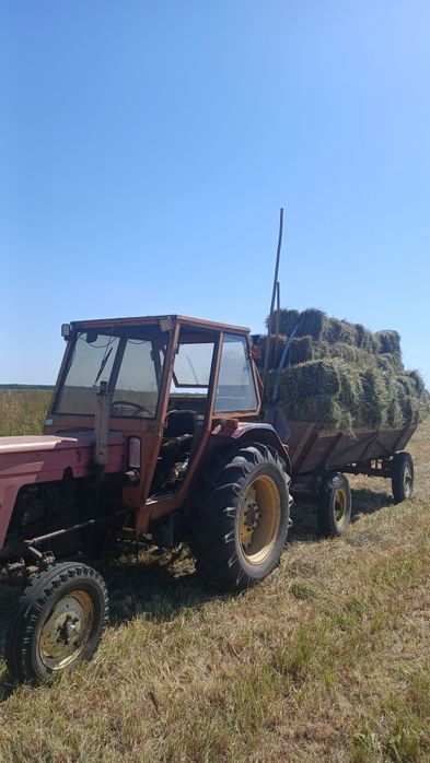 Kostki siano tegoroczne