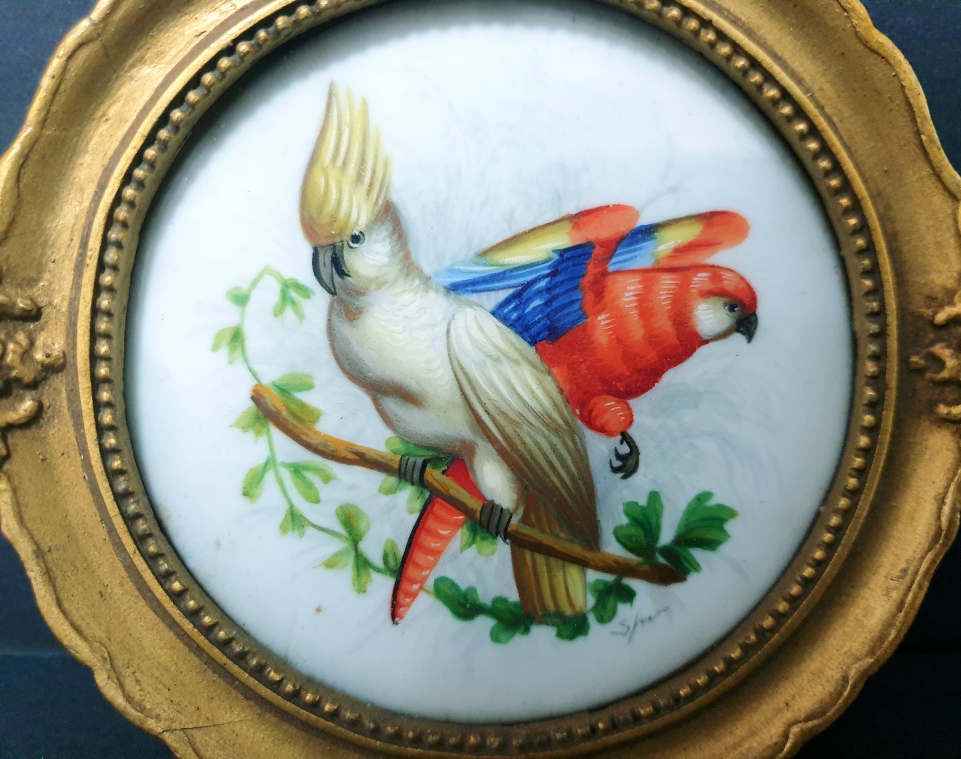 Antiga pintura miniatura "catatua e papagaio" sobre porcelana assinada