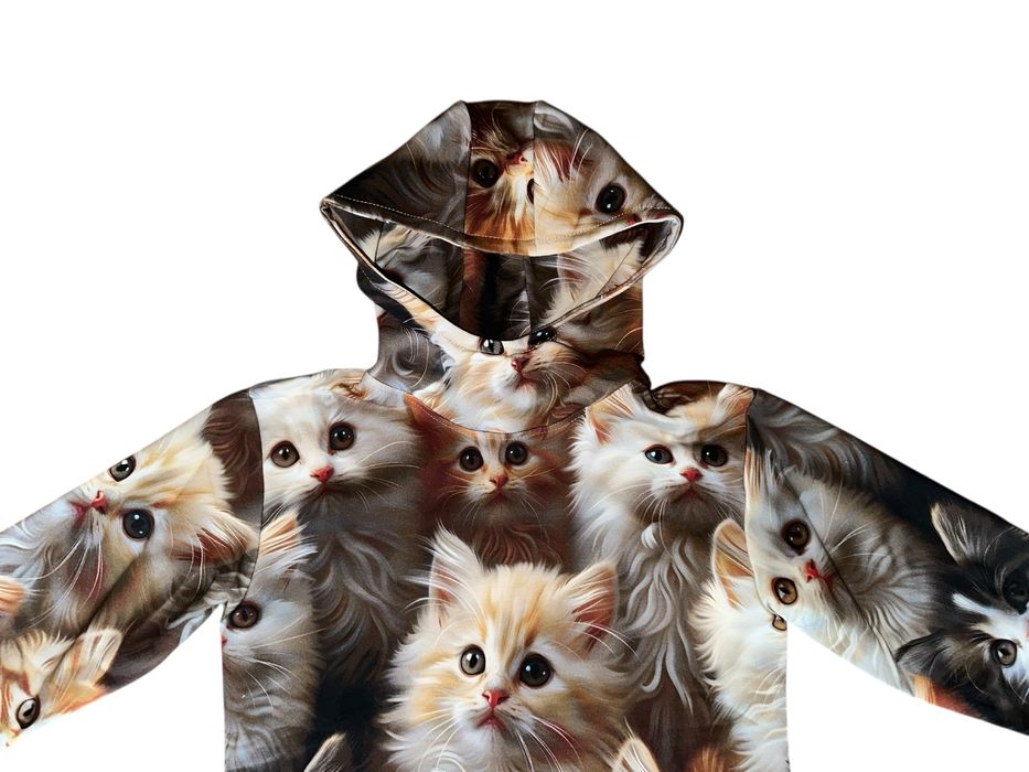 Bluza dziecięca kot koty maine coon 146