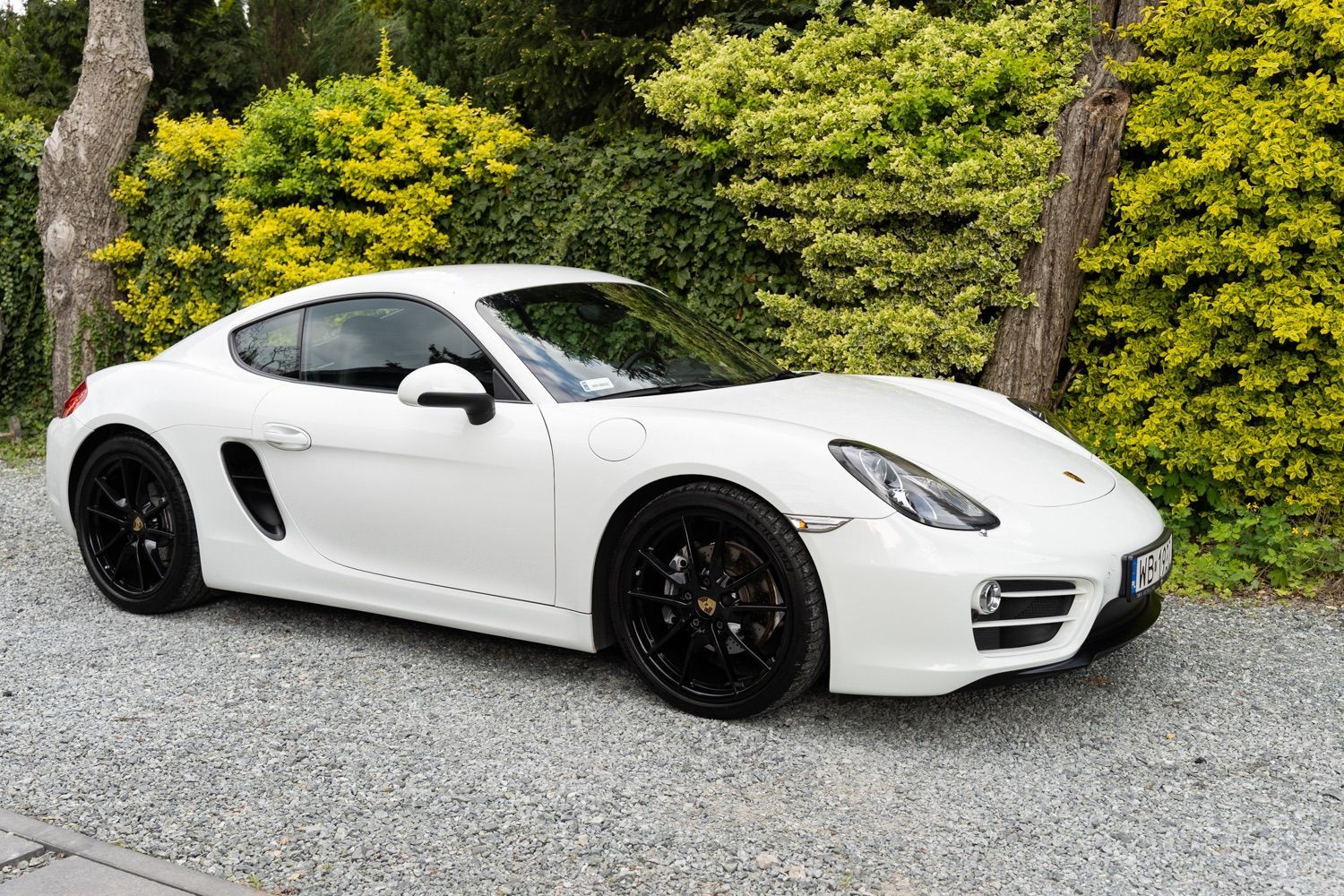 Porsche Cayman Cayman 981 - Polski salon