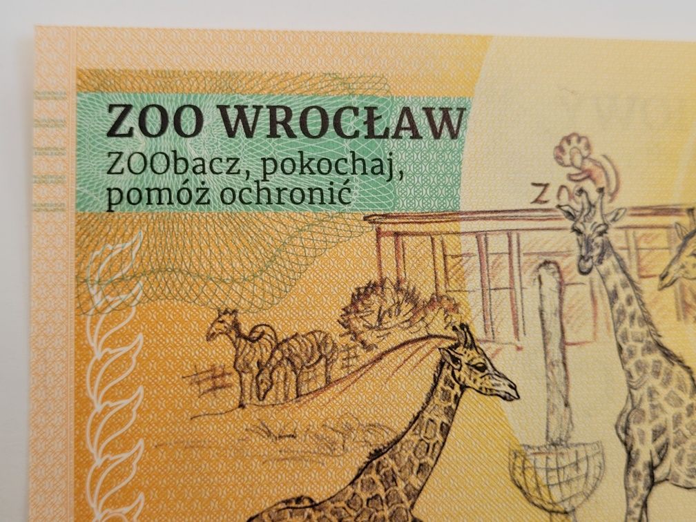 Zoolar - banknot kolekcjonerski Zoo Wrocław - lew południowy Nowość
