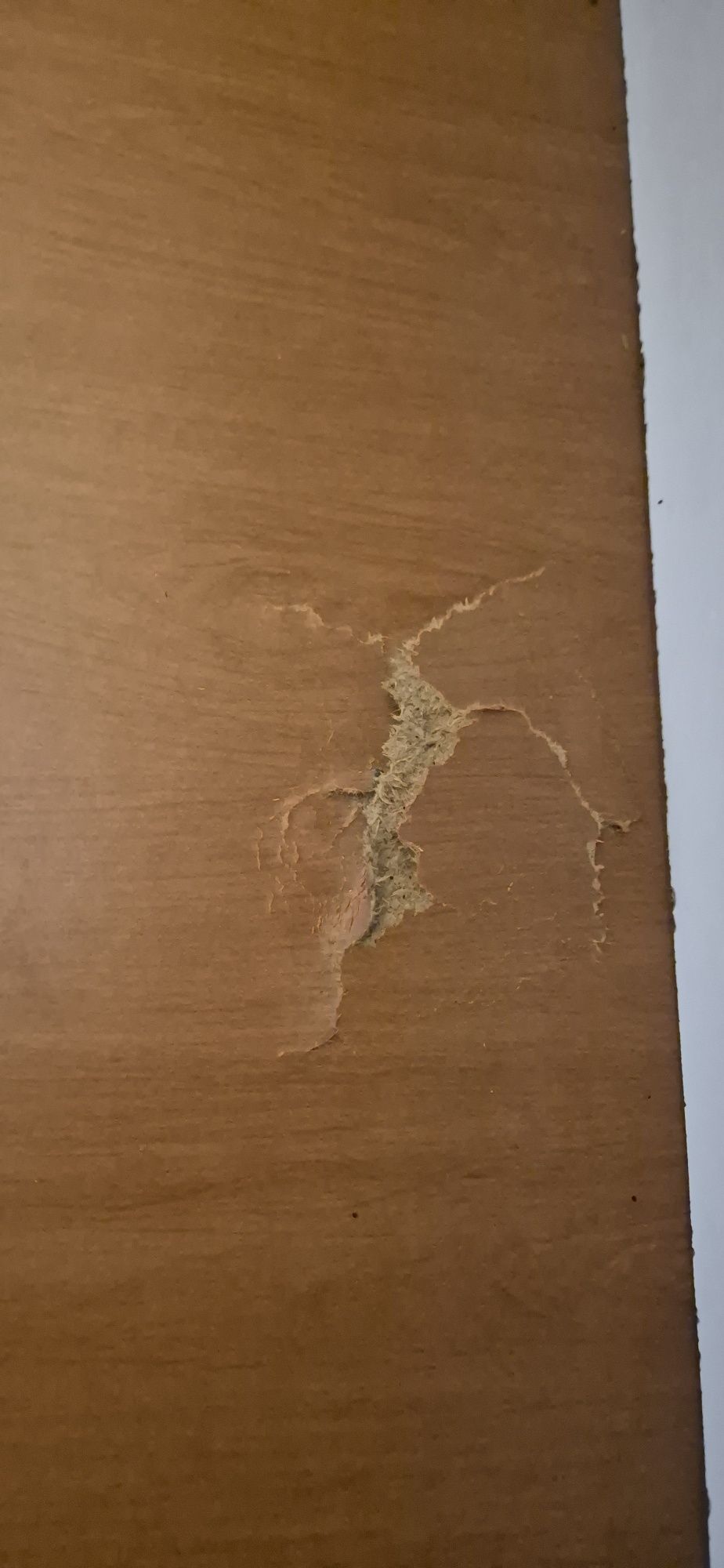 Łóżko rozkładane, sofa z funkcją spania, wersalka rozkladana
