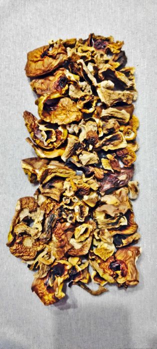 Suszone borowiki i podgrzybki