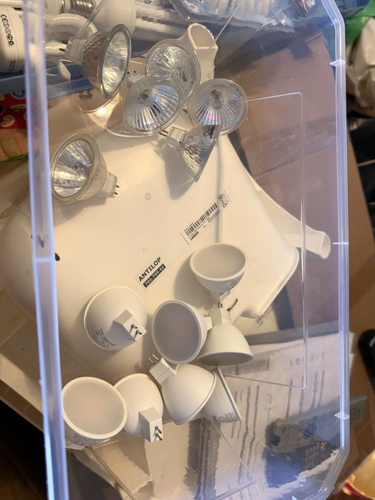 Lote lâmpadas GU5.3 / MR16 – halogéneo e LED