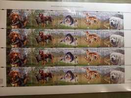 Znaczki pocztowe z polskimi psami rasowymi