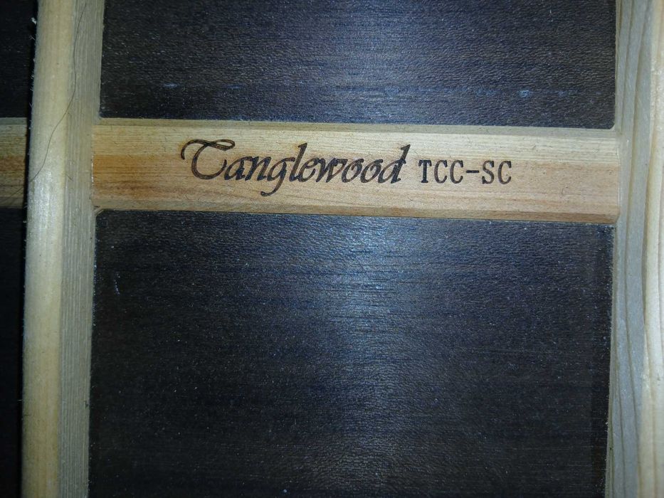 Продам класичну гітару Tanglewood TCC-SC. Відмінний стан!