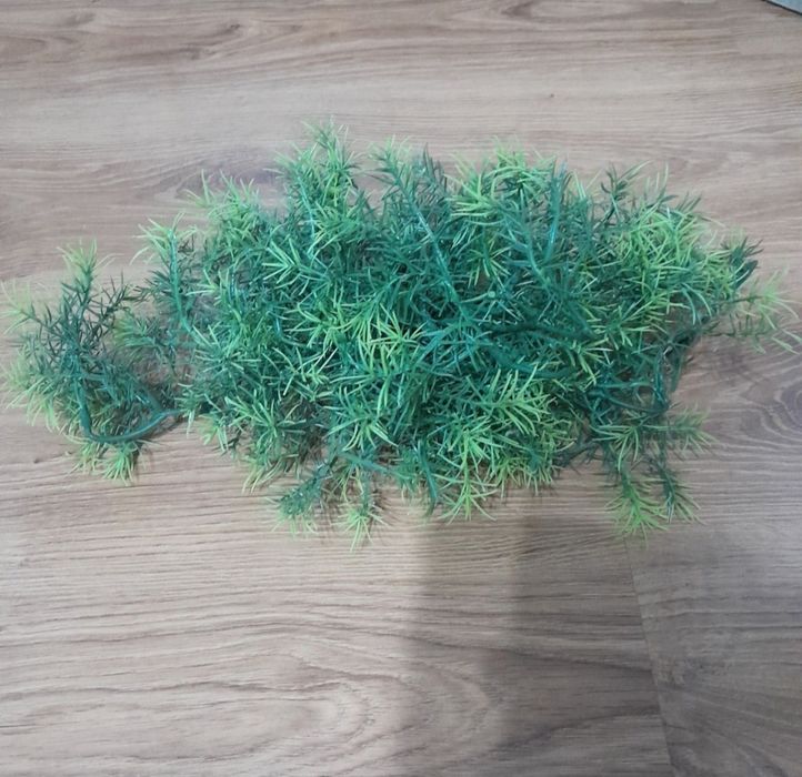 Terrarium 50x40x40 + akcesoria