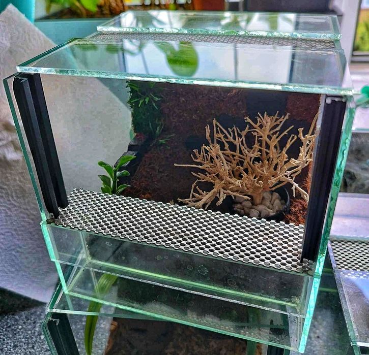 Terrarium 15 cm 14 cm 15 cm dla np pająka