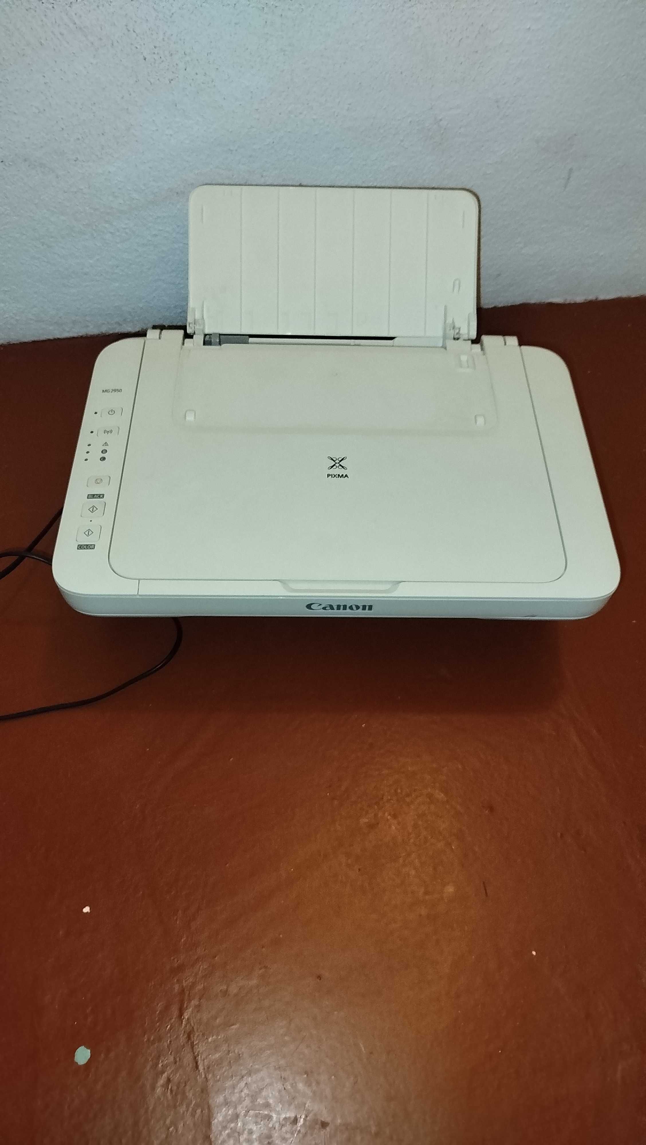 Impressora multifunções Canon MG2950