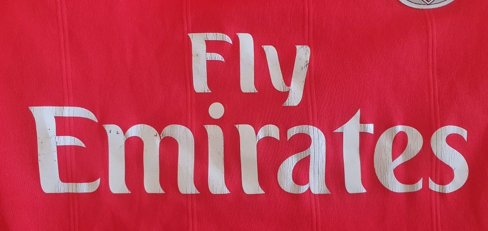 Camisola Oficial Benfica Adidas, época 18/19