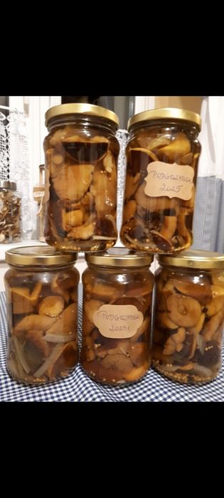 5 x Podgrzybki marynowane.Bory Tucholskie.