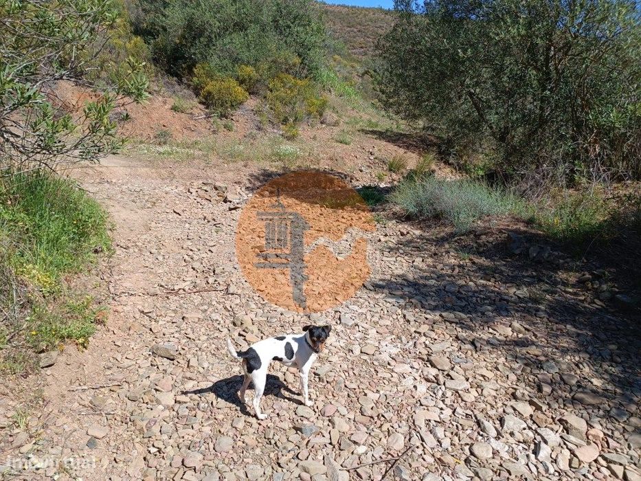 Terreno Rustico Com 22.760 M2 - Com Poço - Em Brenhosa - Odeleite -...